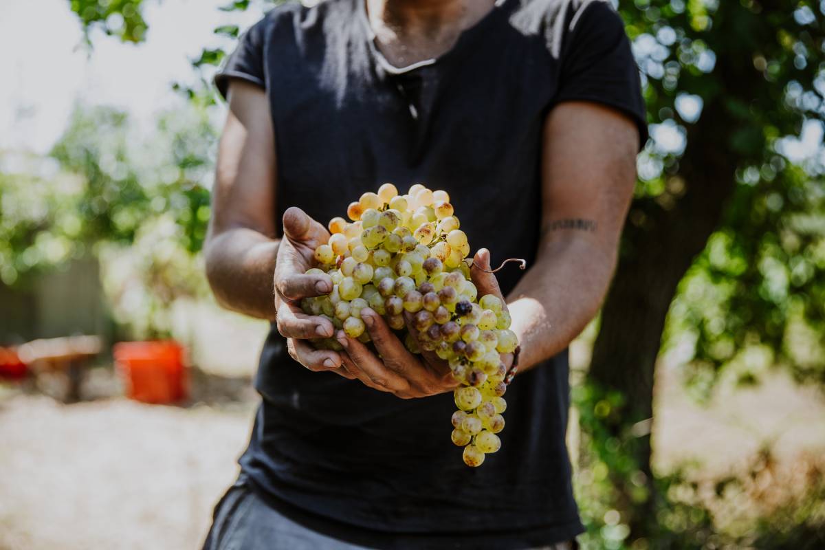 Degustazione di Vino Moli al Peretto nel Parco Nazionale del Circeo